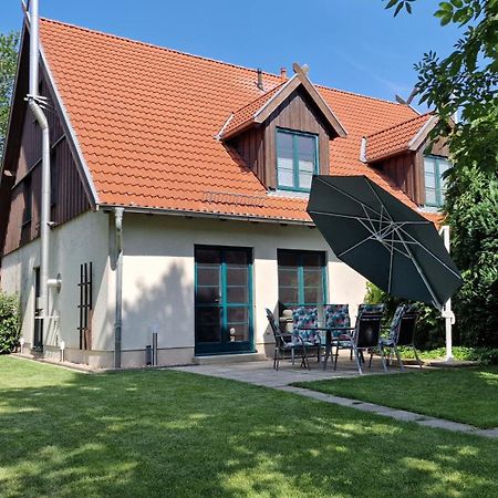 Ferienhaus Hase Бург Экстерьер фото