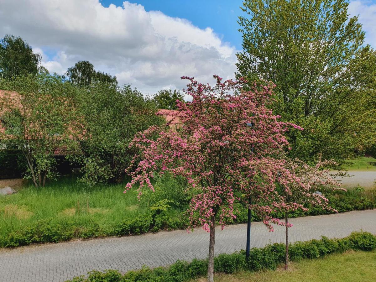 Вилла Ferienhaus Hase Бург Экстерьер фото