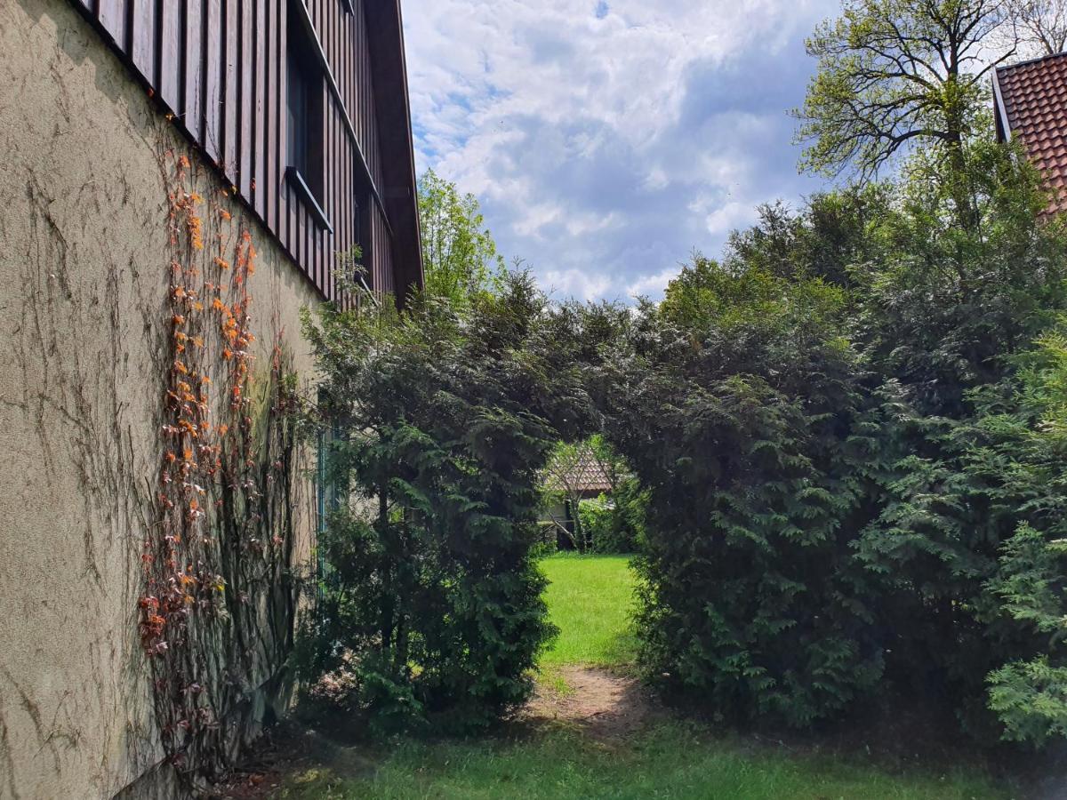 Вилла Ferienhaus Hase Бург Экстерьер фото